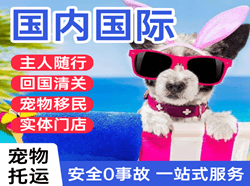 柳州白莲航空物流国际宠物托运 【国
